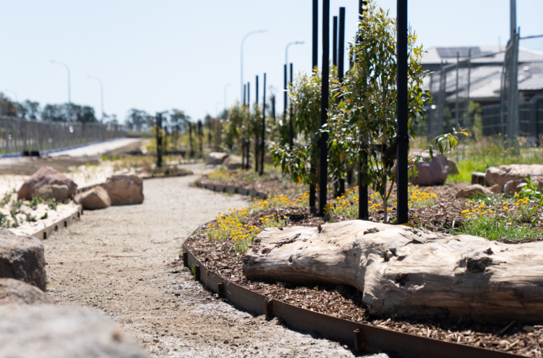 Have Your Say on Riverfield’s Proposed Reserve Names