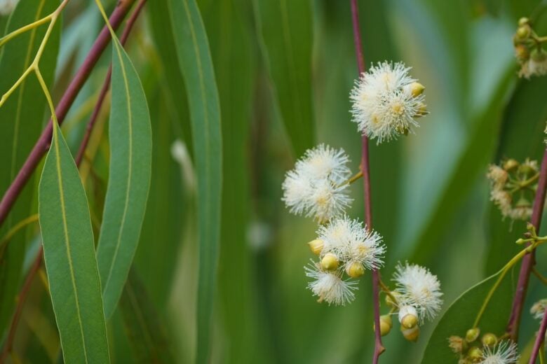 Introducing Riverfield’s New Reserve Names